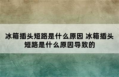 冰箱插头短路是什么原因 冰箱插头短路是什么原因导致的